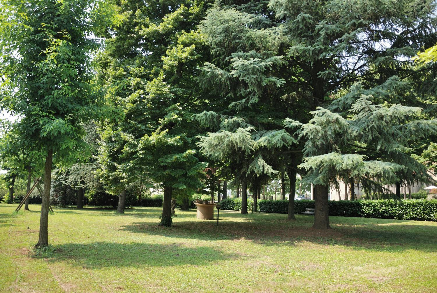 Hotel Olimpic Castel Maggiore Exterior photo